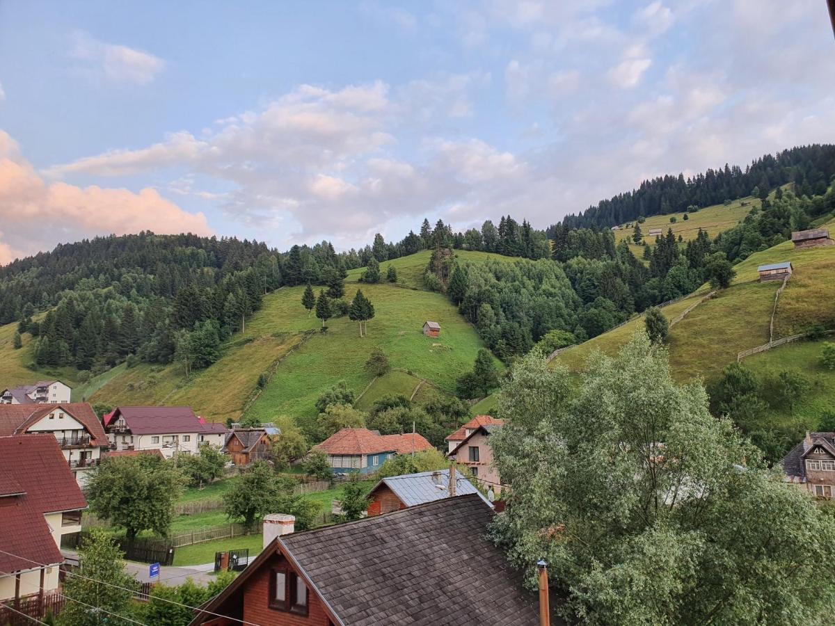 Hotel Alegria - Moieciu De Sus Moeciu De Sus Zewnętrze zdjęcie