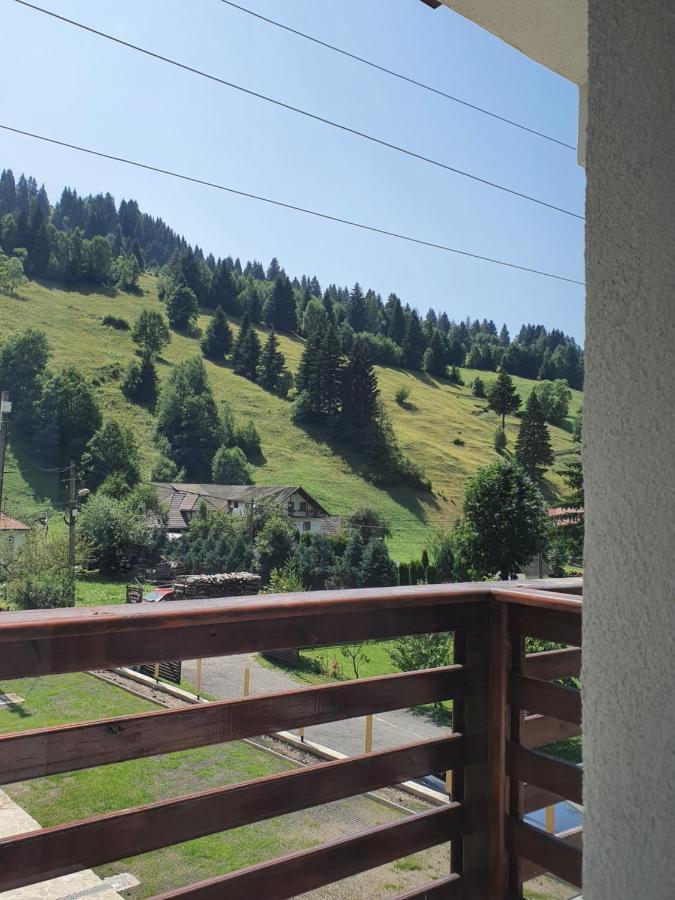 Hotel Alegria - Moieciu De Sus Moeciu De Sus Zewnętrze zdjęcie