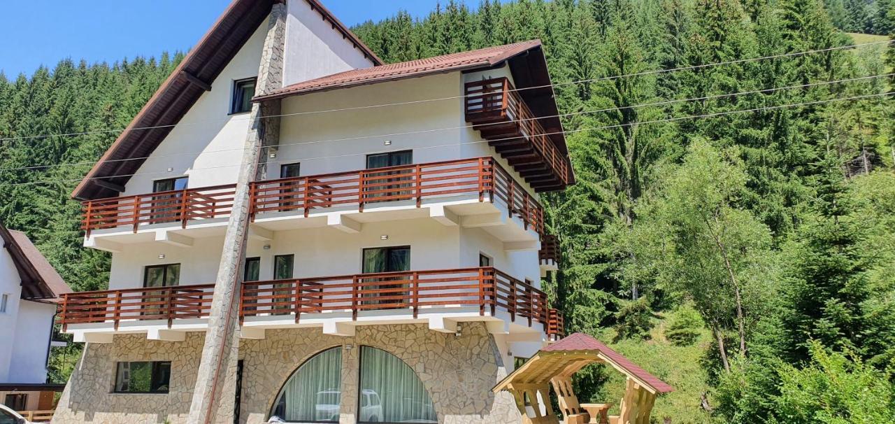 Hotel Alegria - Moieciu De Sus Moeciu De Sus Zewnętrze zdjęcie