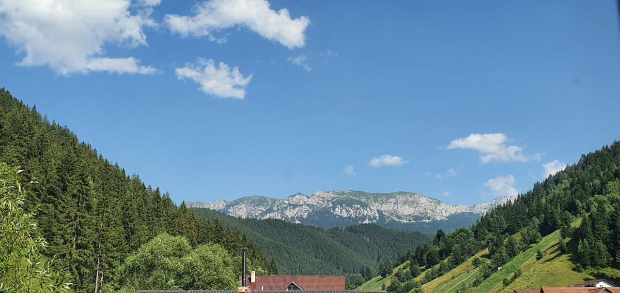 Hotel Alegria - Moieciu De Sus Moeciu De Sus Zewnętrze zdjęcie