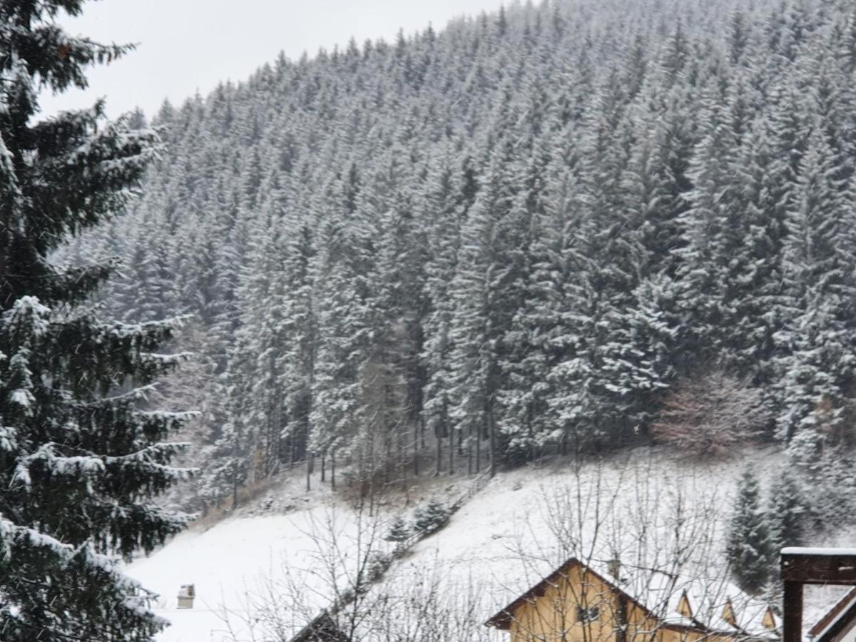 Hotel Alegria - Moieciu De Sus Moeciu De Sus Zewnętrze zdjęcie