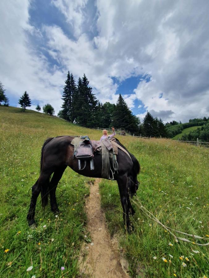 Hotel Alegria - Moieciu De Sus Moeciu De Sus Zewnętrze zdjęcie