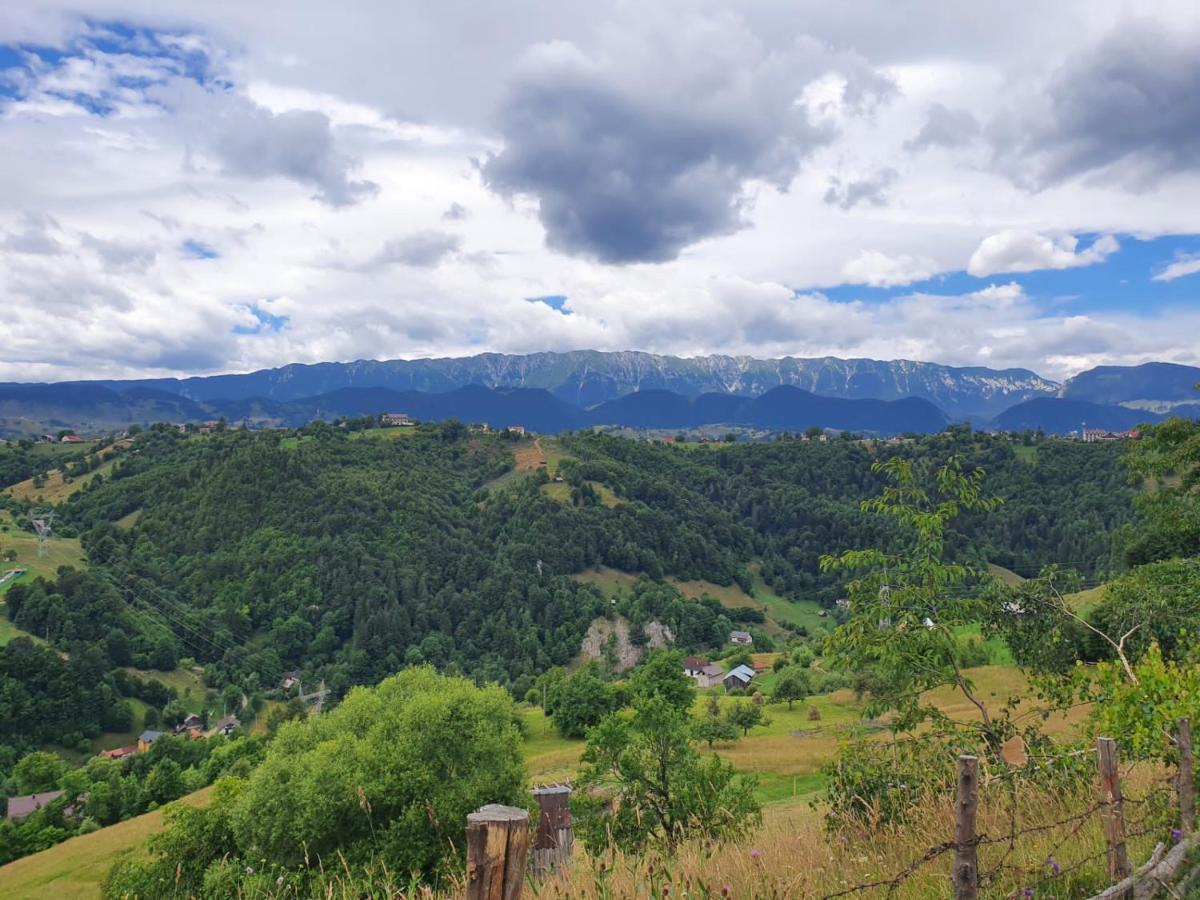 Hotel Alegria - Moieciu De Sus Moeciu De Sus Zewnętrze zdjęcie
