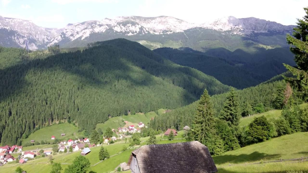 Hotel Alegria - Moieciu De Sus Moeciu De Sus Zewnętrze zdjęcie